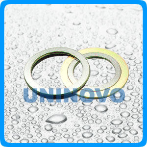 spiral wound gasket (basic)