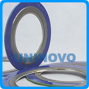 Spiral wound gasket with outer ring