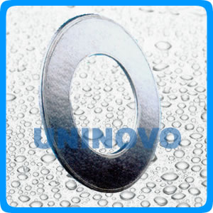 Graphite reinforced gasket(plate-type)